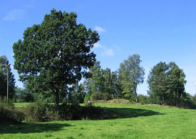 natur1