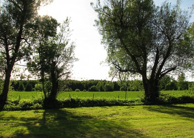 natur2
