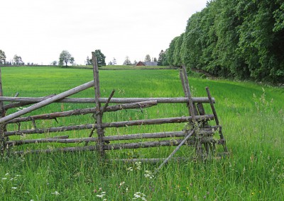 natur4